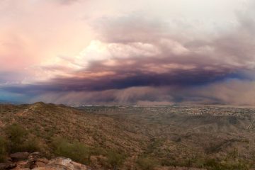 how to survive a sandstorm