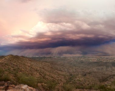 how to survive a sandstorm