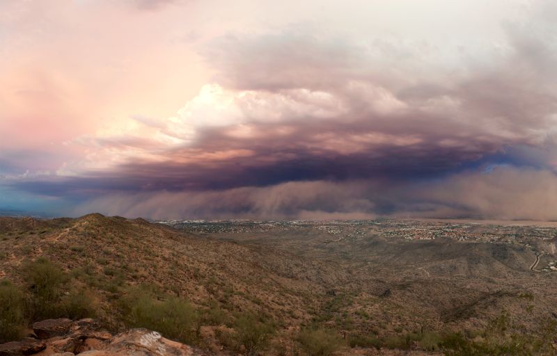 how to survive a sandstorm