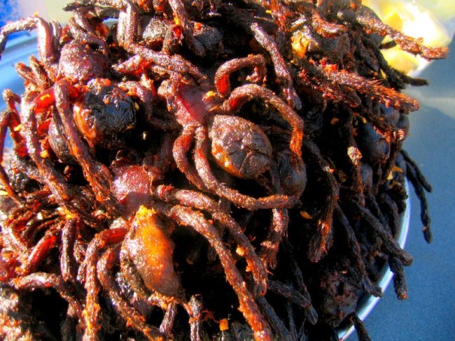 Fried tarantulas strange food