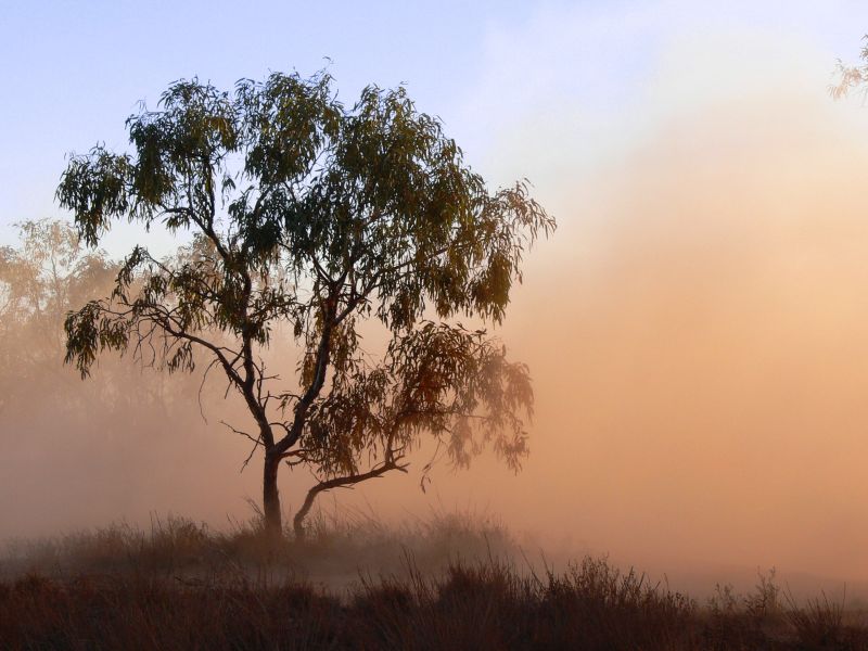 How to survive a sandstorm