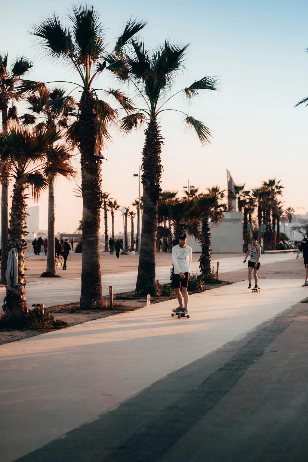 Barcelona Skate