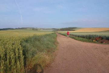 trekking the camino de santiago