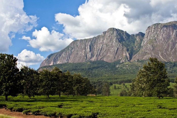 Mulanje Mountain, Malawi