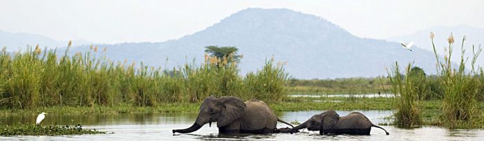 Liwonde National Park, Malawi