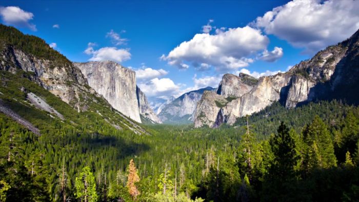 Yosemite National Park, California