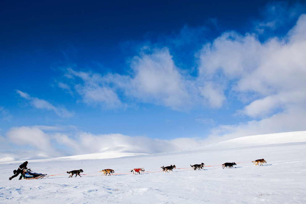 Dog sledding in Finnmark, Norway