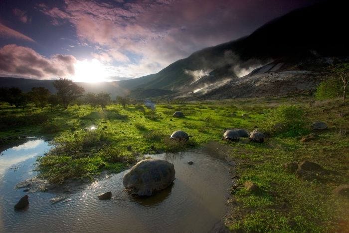 Galapagos Islands