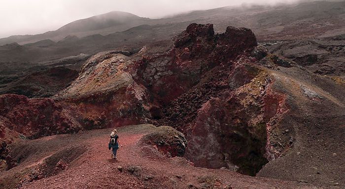 Galapagos Islands