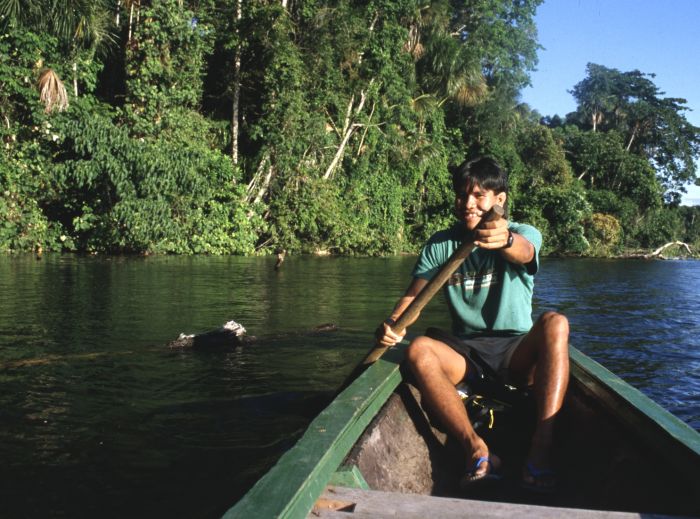 Amazon rainforest, Bolivia