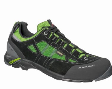 Mammut Men's Redburn Low GTX