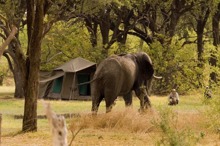 Camping, The Serengeti, Tanzania