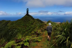 Peaks National Park, St Helena