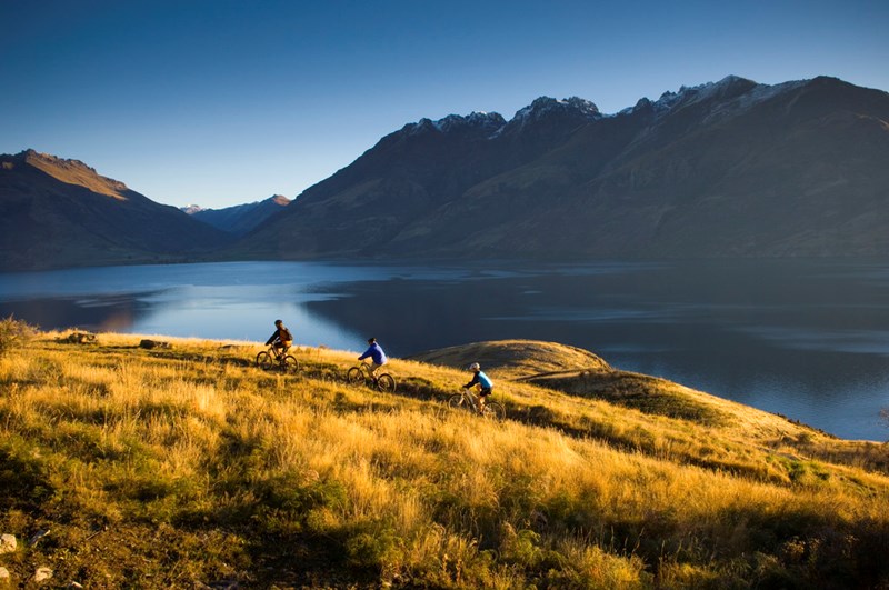 Cycling, New Zealand