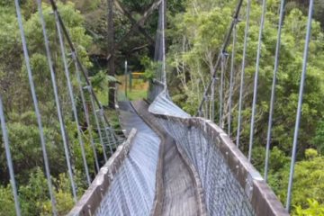 New Zealand bridge collapse