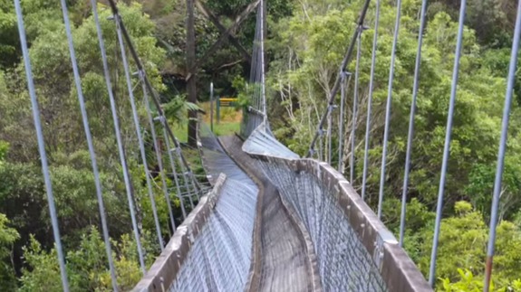 New Zealand bridge collapse