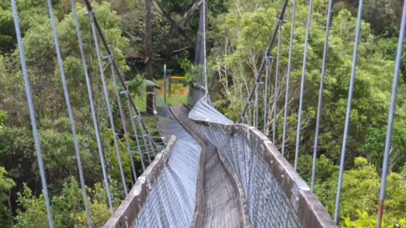 Watch: Hikers violently catapulted into river when suspension bridge  collapses in New Zealand - Wired For Adventure