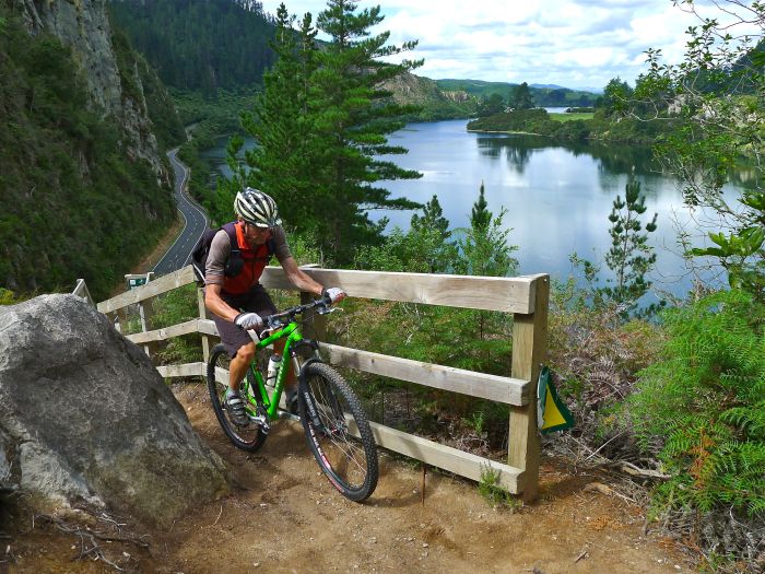 Cycling along the Waikato River, New Zealand