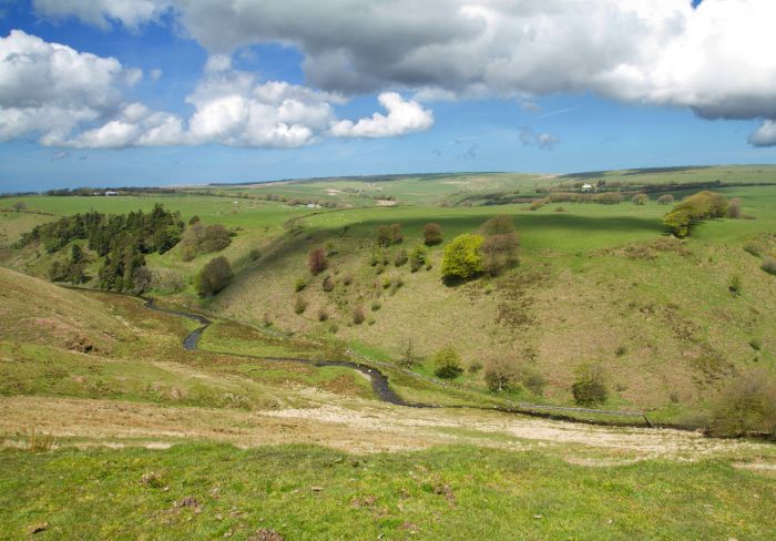 Barle Valley near Simonsbath, Exmoor