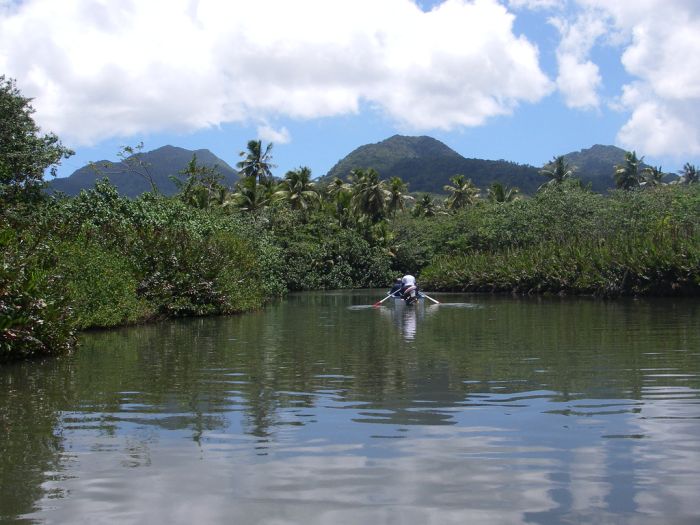 Boating the Indian River, Dominica