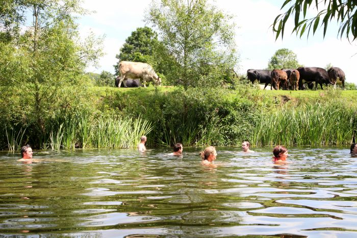 Swimming in the Thames River