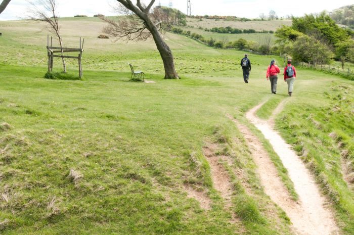 The Cotswold Way, near Cheltenham