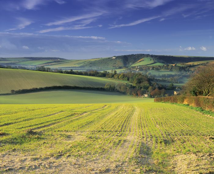 A view from Offa's Dyke