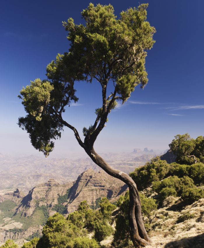 Simien Mountains National Park, Amhara, Ethiopia