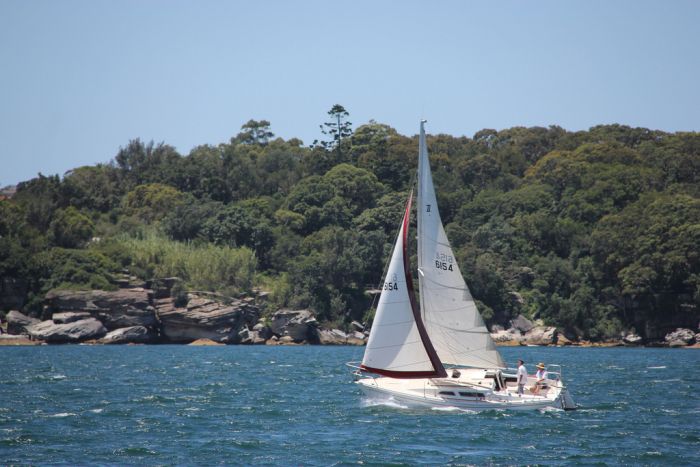 Sailing Sydney harbour