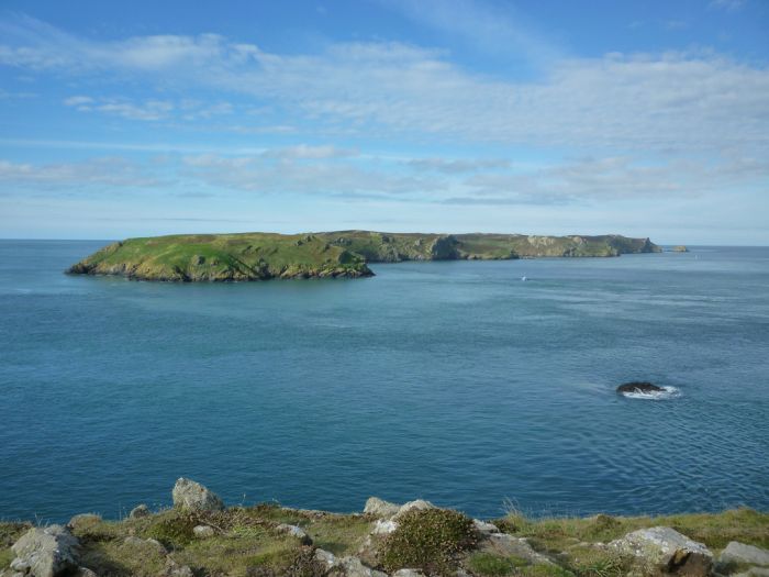 Skomer Island, Pembrokeshire