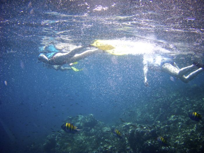 Snorkelling Caño Island, Costa Rica