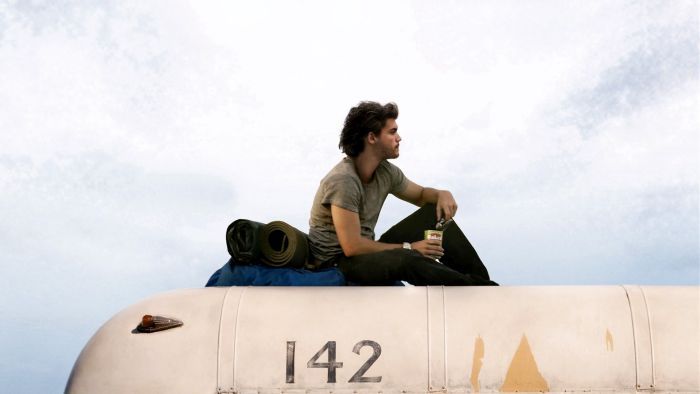 Into The Wild