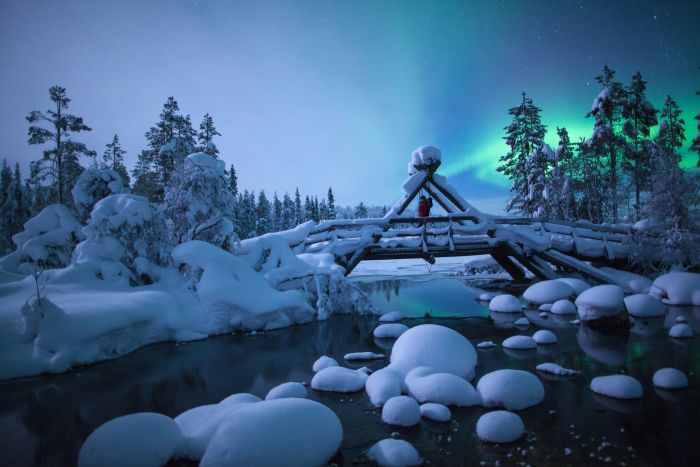 see the northern lights 