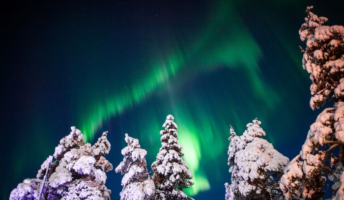 see The Northern Lights