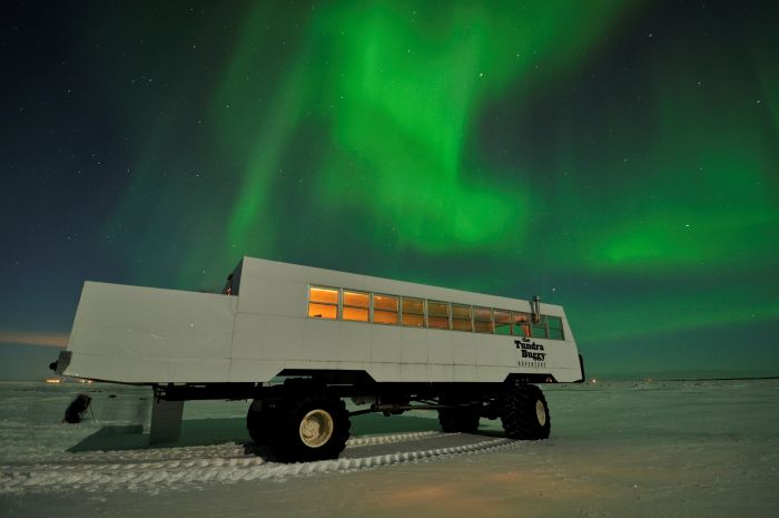 Wexas Travel's Tundra buggy