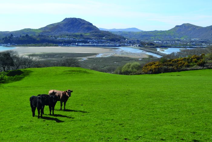 Wales Coast Path