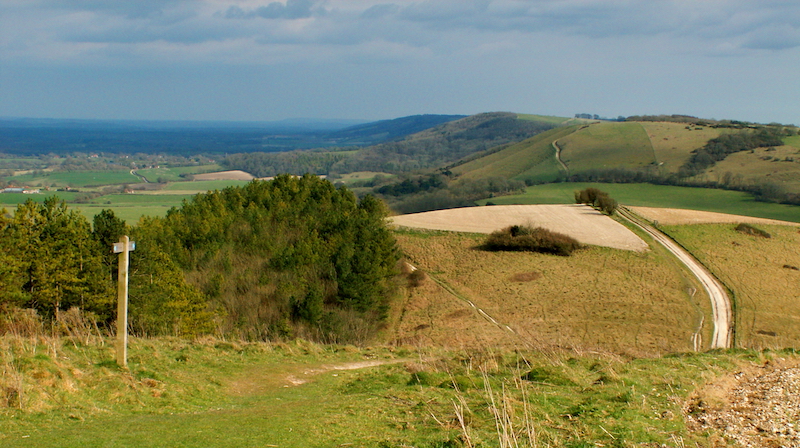 South Downs Way