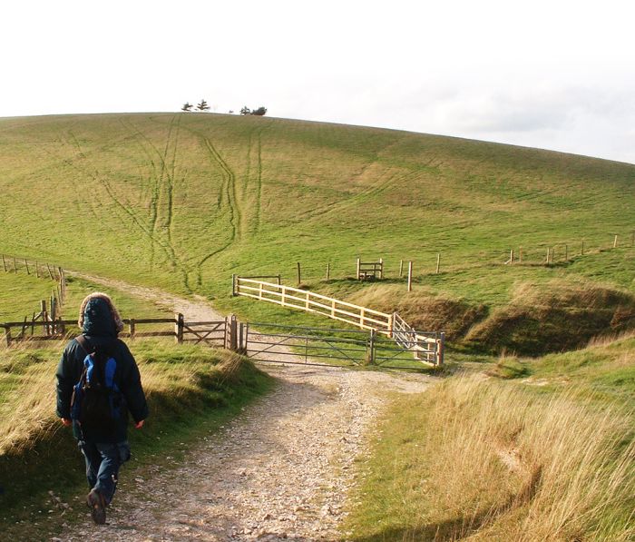 A view from The South Downs Way