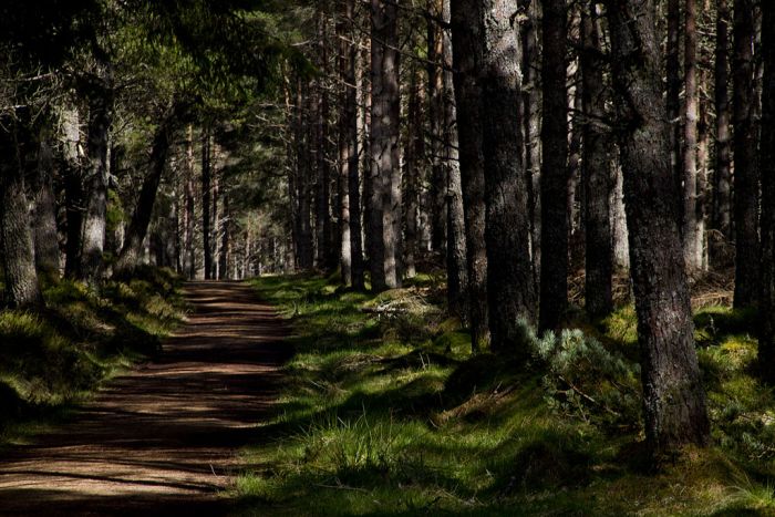 The Great Glen Way, Scotland