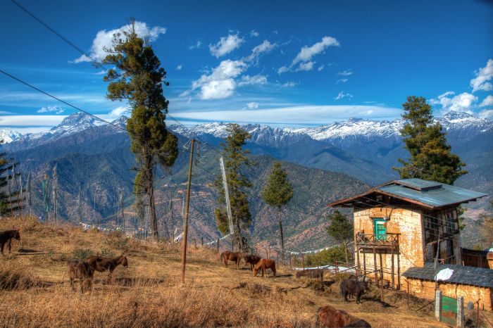 Stables on top of Mountains, Bhutan