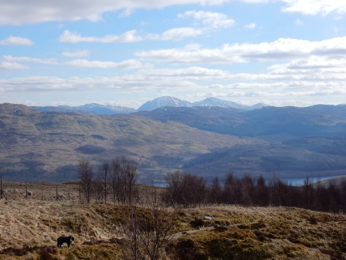 The view north from Beinn Ghlas, Scotland