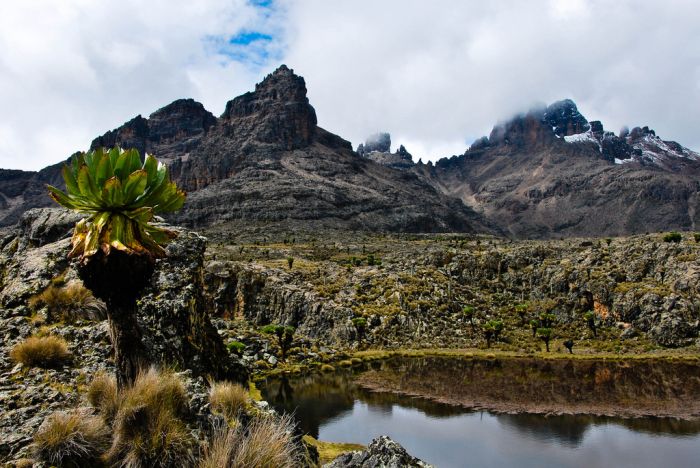 Hall Tarns, Mount Kenya, Kenya