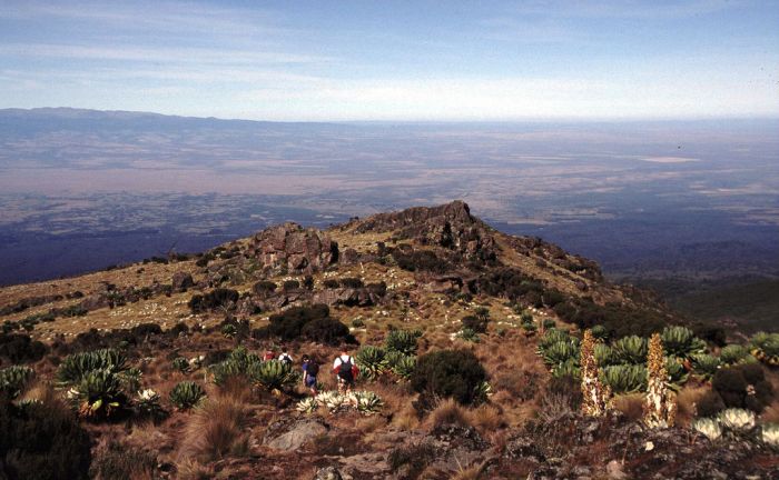 Trekking Mount Kenya