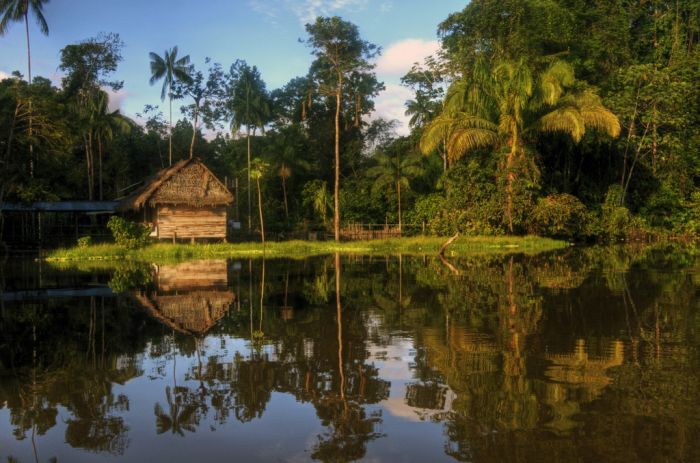 The Amazon River, Peru