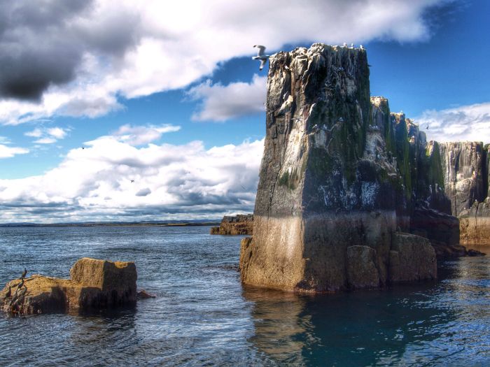 Farne Islands, Northumberland, UK