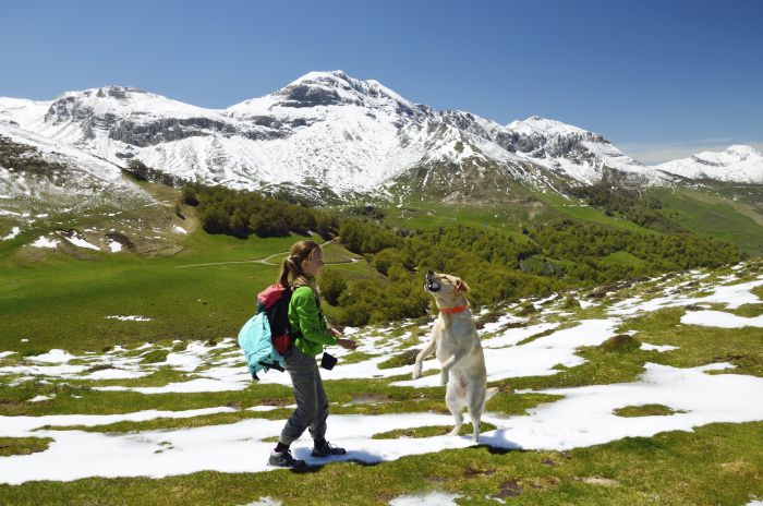 Girl with dog in the spring Pyrenees