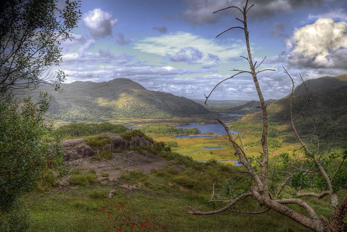 Killarney National Park, Kerry, Ireland