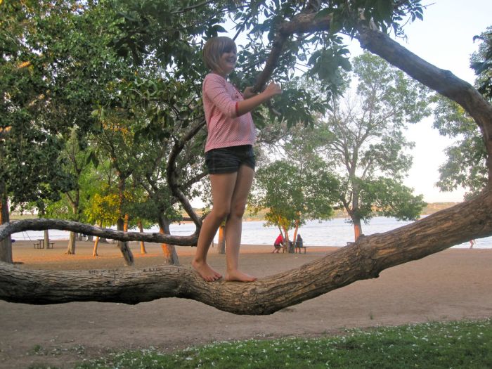 Tree climbing