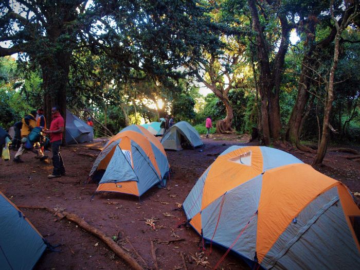 Climbing Mount Kilimanjaro