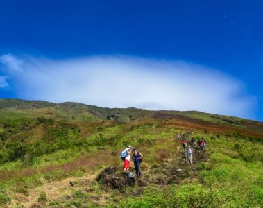 Climbing Mount Cameroon, Cameroon